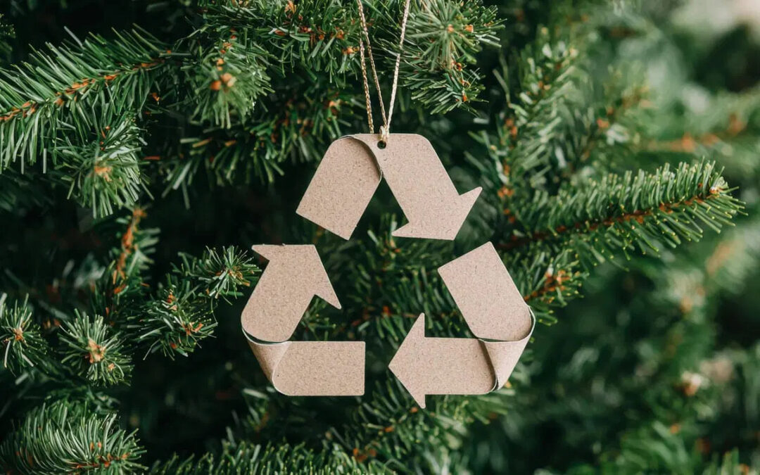 Après les fêtes, recyclez votre sapin !