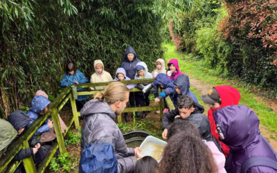 Un bol d’air pour les 6-17 ans lors d’un séjour à la ferme !