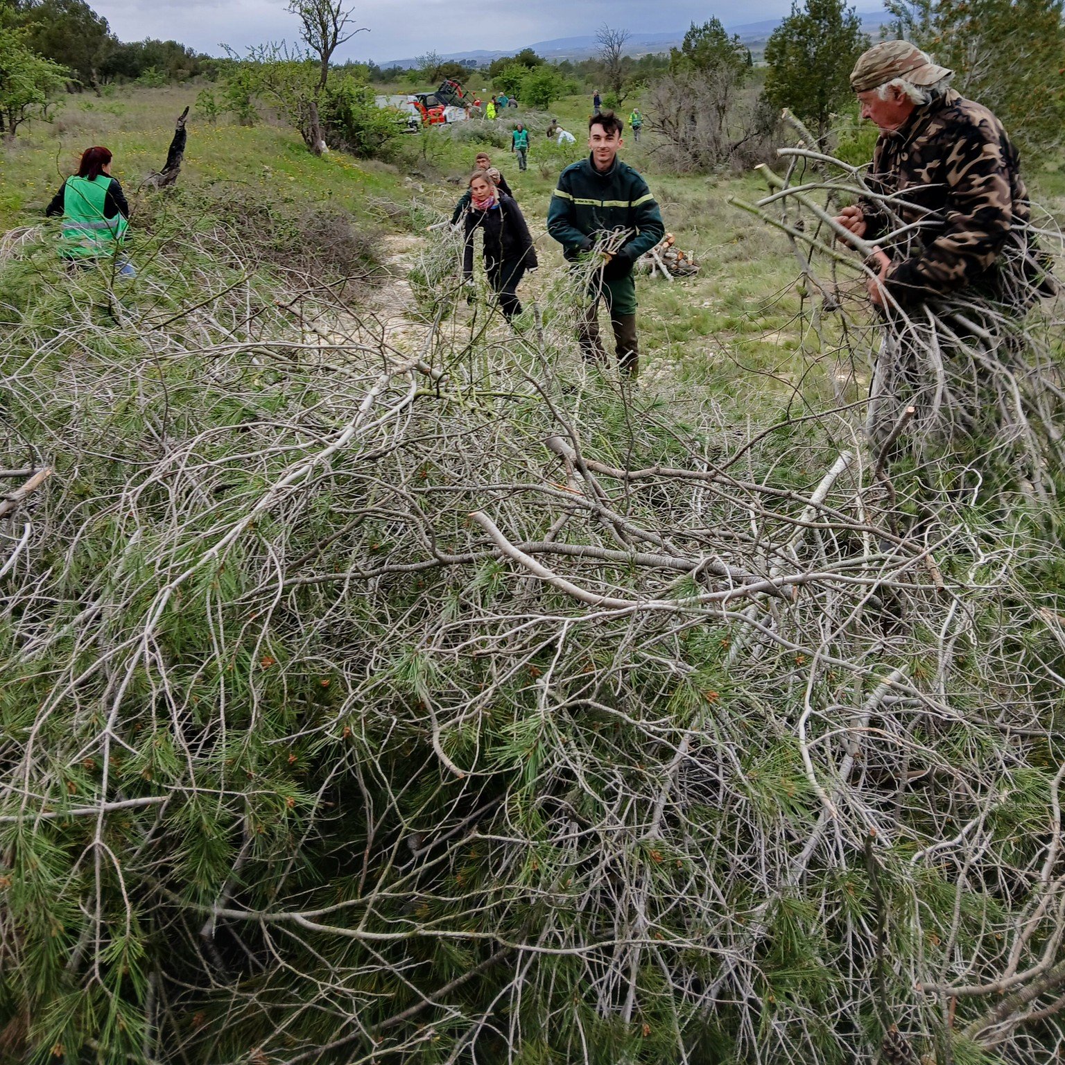 Forêt