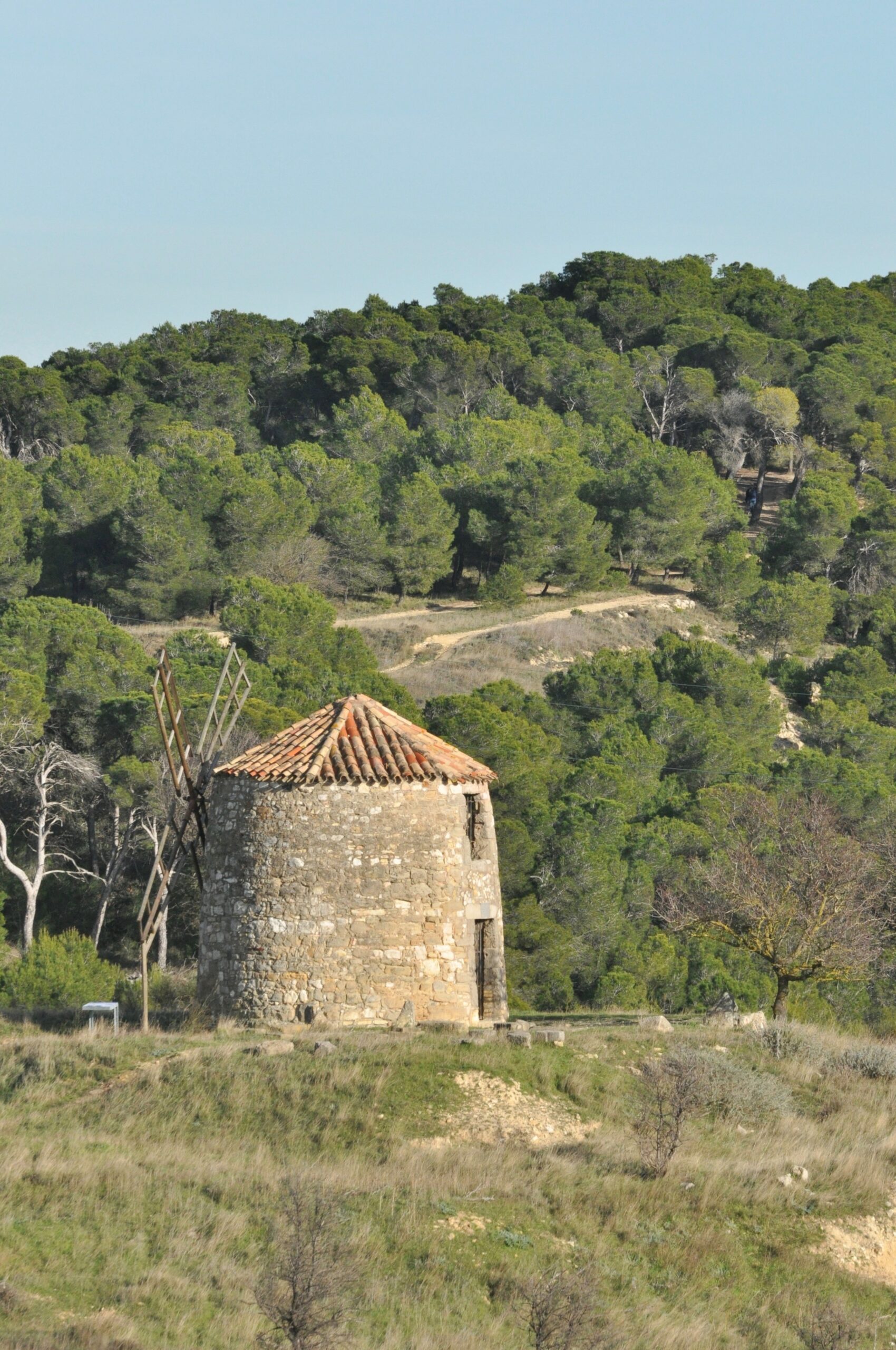 Moulin